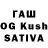 БУТИРАТ 1.4BDO Shadow Mushroom